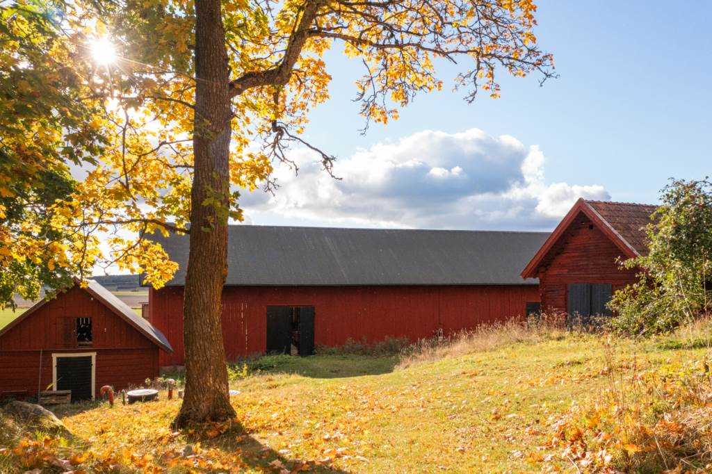 Lågupplöst Fd svinhuset till v„nster och Logen maskinhallen i mitten