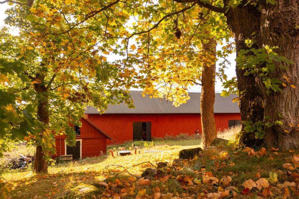 Lågupplöst Fd svinhuset till v„nster och Logen maskinhallen i mitten