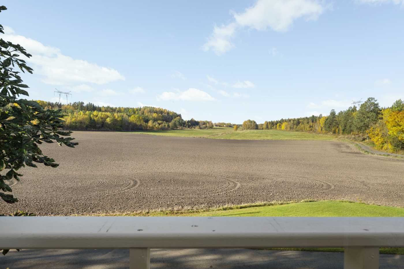 Vacker och rogivande vy över åkerlandskapet med skog i bakgrunden
