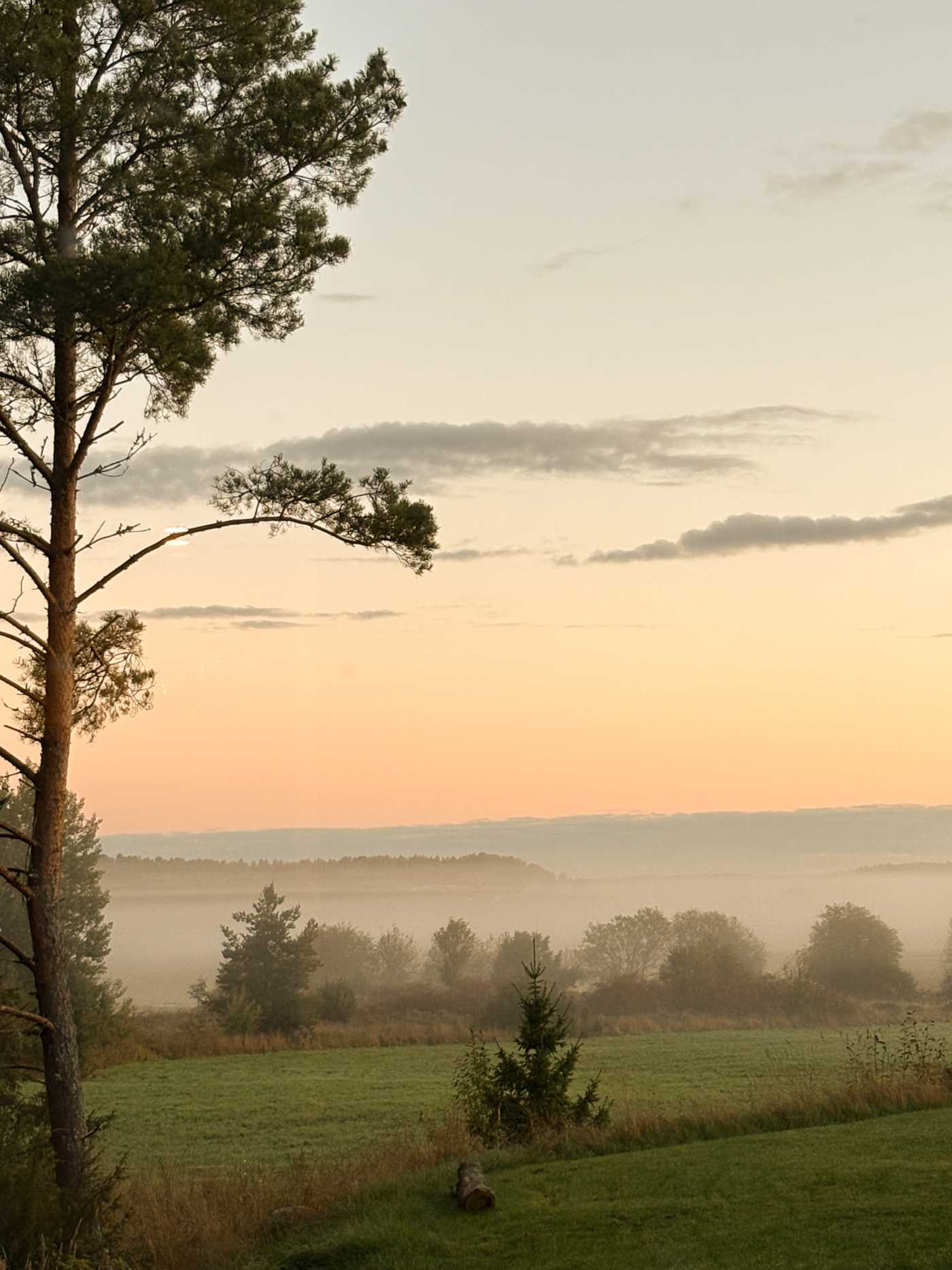 Säljarnas sommarbilder