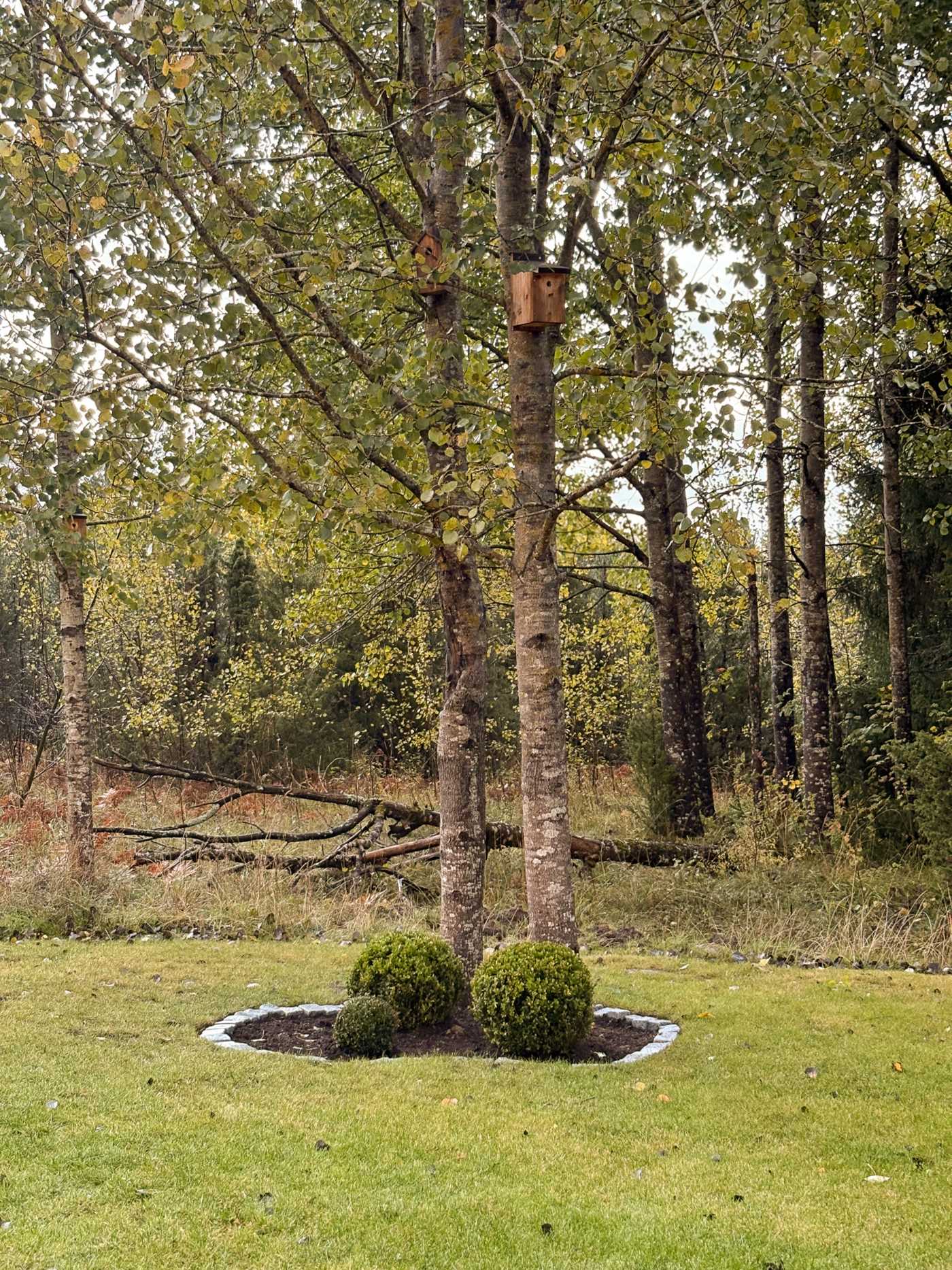 Säljarnas sommarbilder