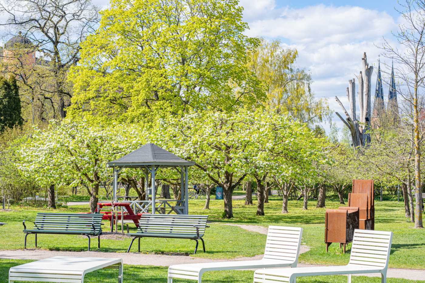 Äppellund i Stadsparken