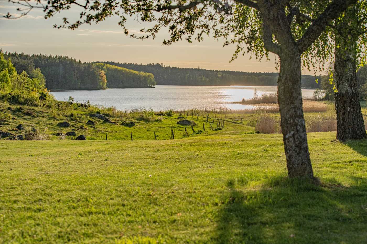 Långsjöns vattenspegel