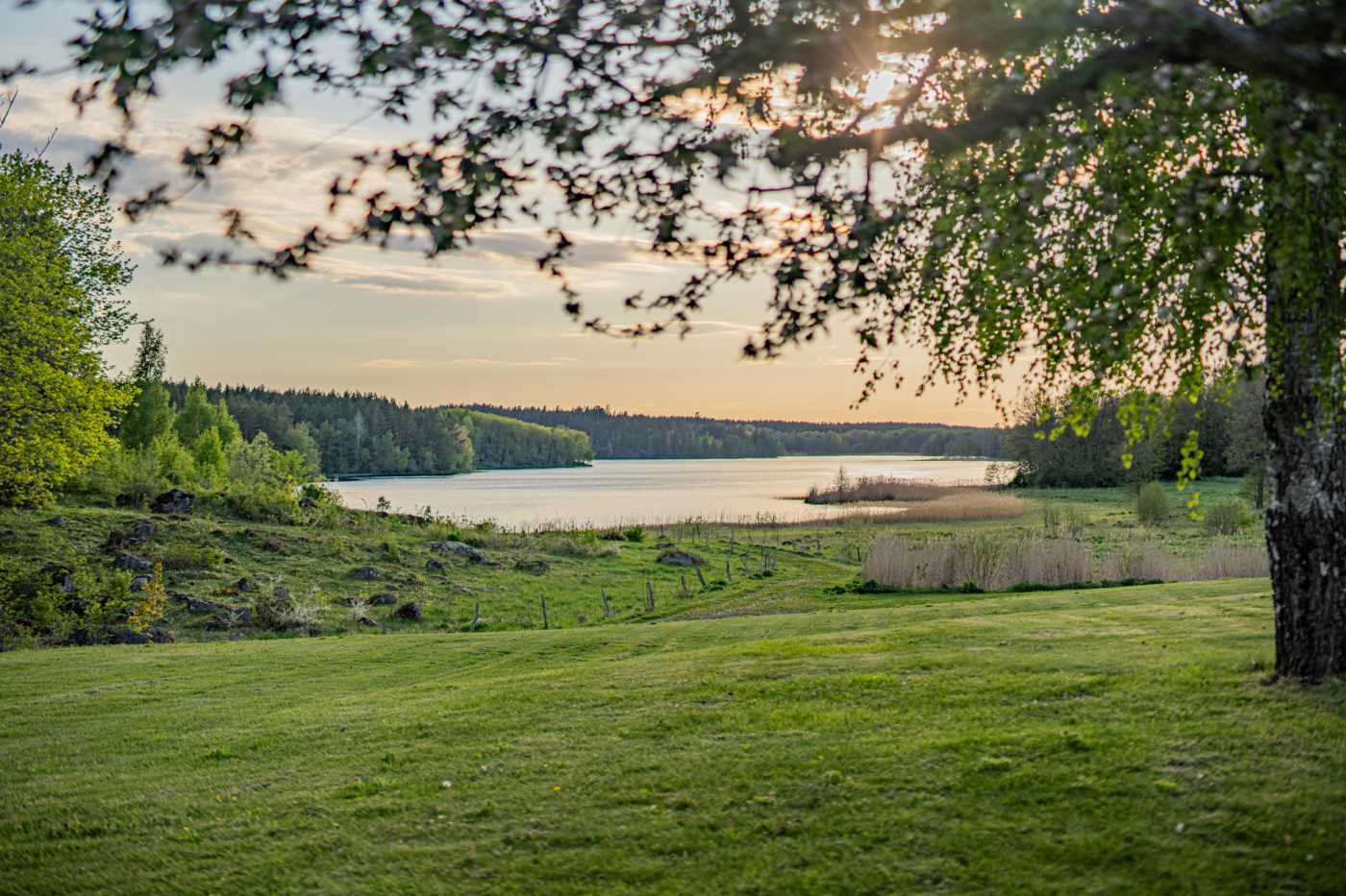 Långsjöns vattenspegel