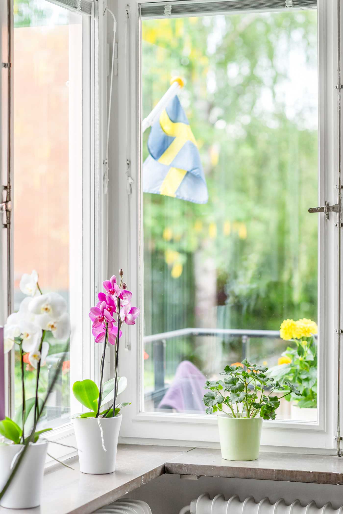 Egilsgatan 13A