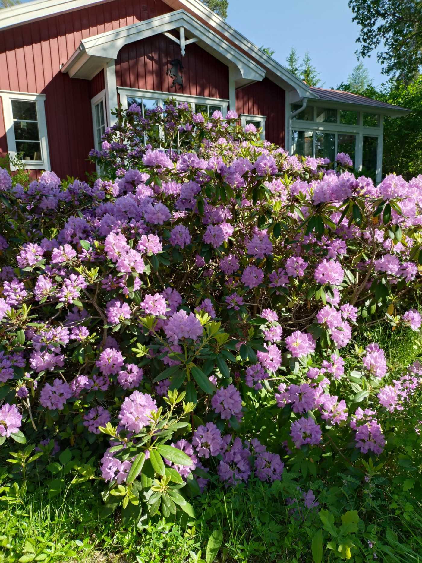 Säljarens egna bilder